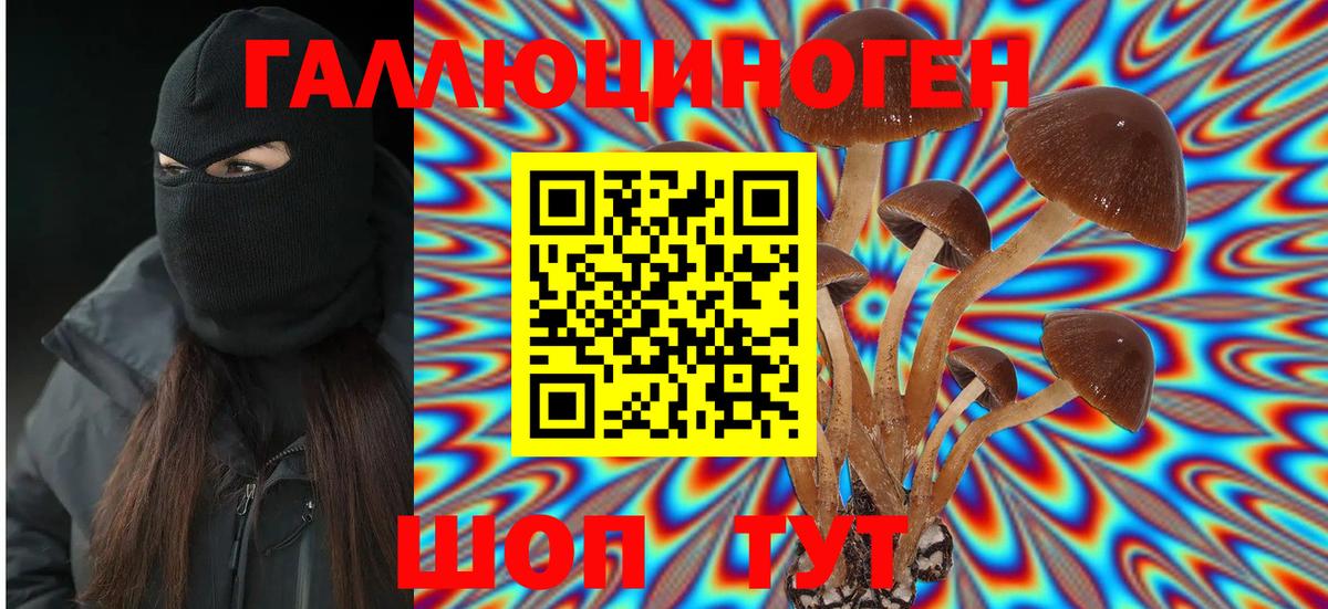 Псилоцибиновые грибы прущие грибы Беслан