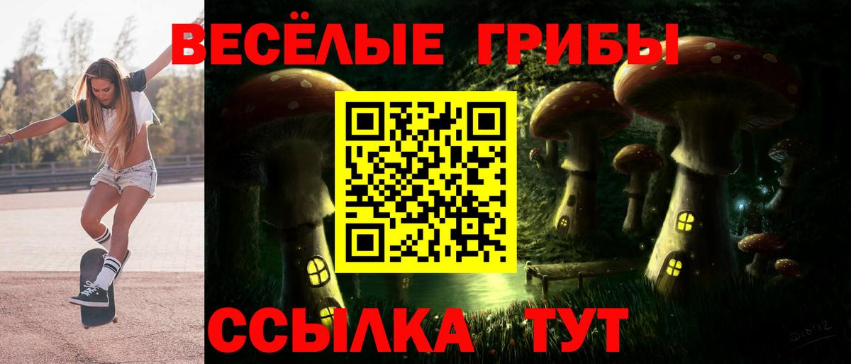 Галлюциногенные грибы Cubensis  Галлюциногенные грибы Psilocybine cubensis  Беслан  Вход с VPN 